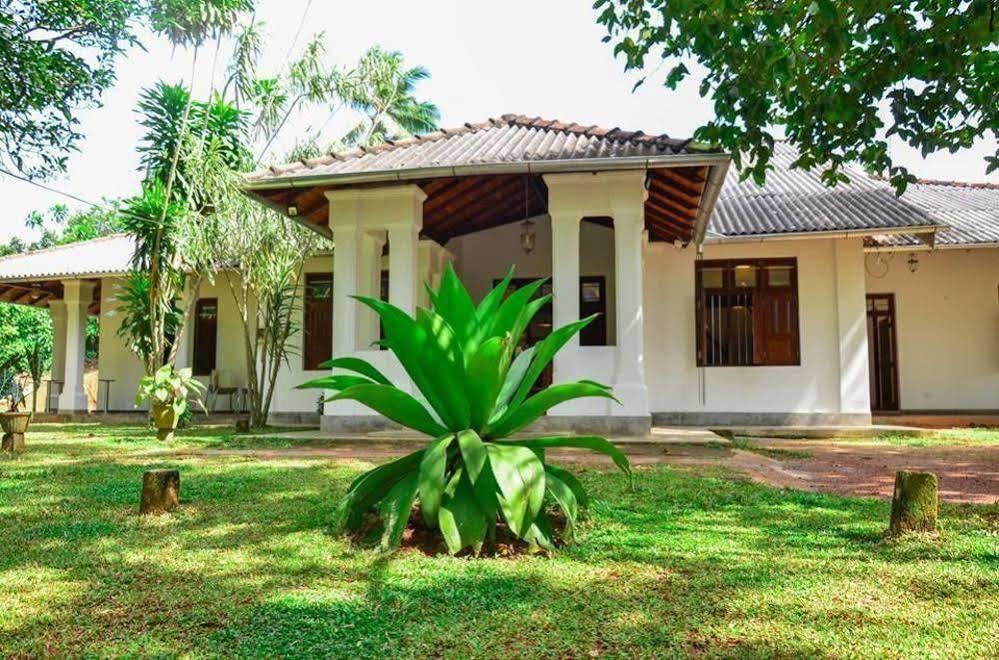 Villa Helvetia Galle Exteriér fotografie